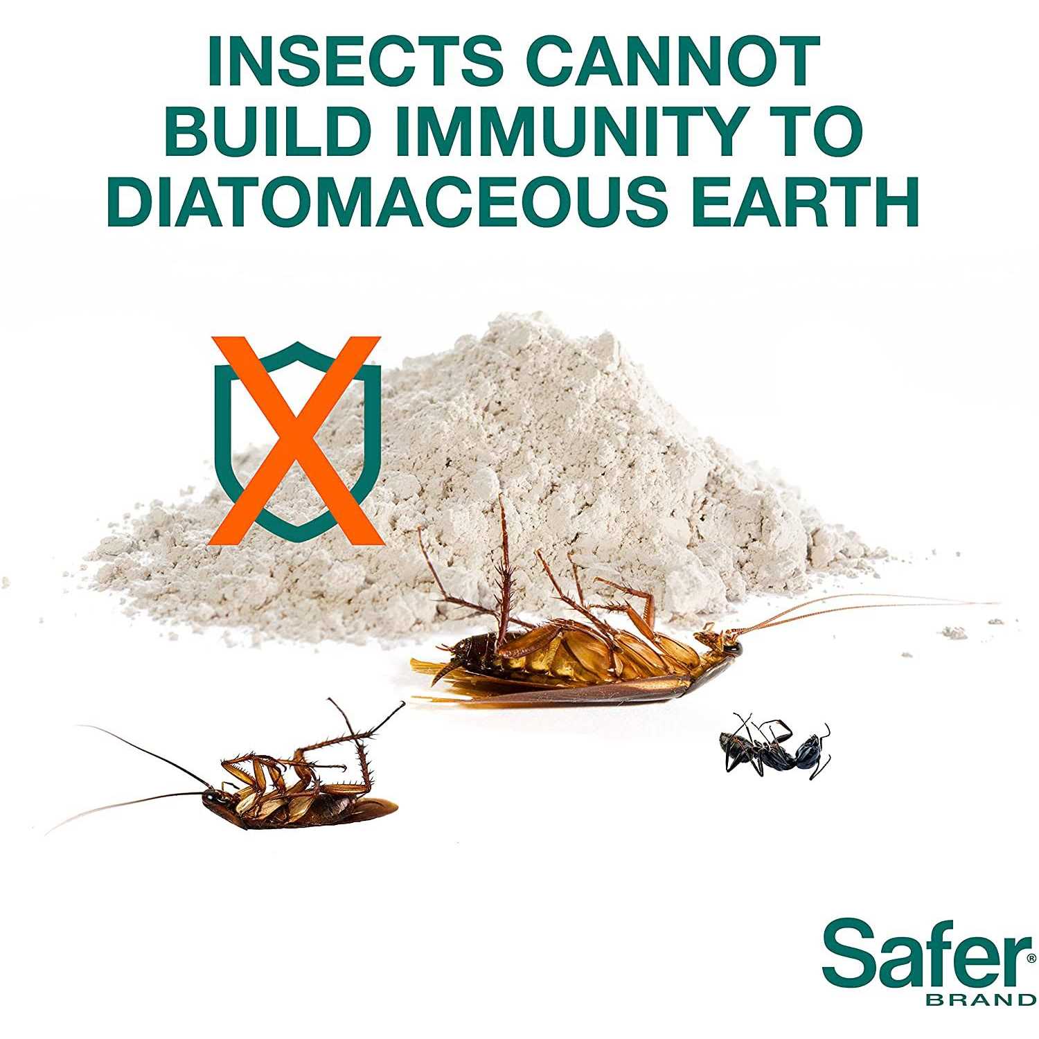 Safer Diatomaceous Earth Insect Killer - Image 4