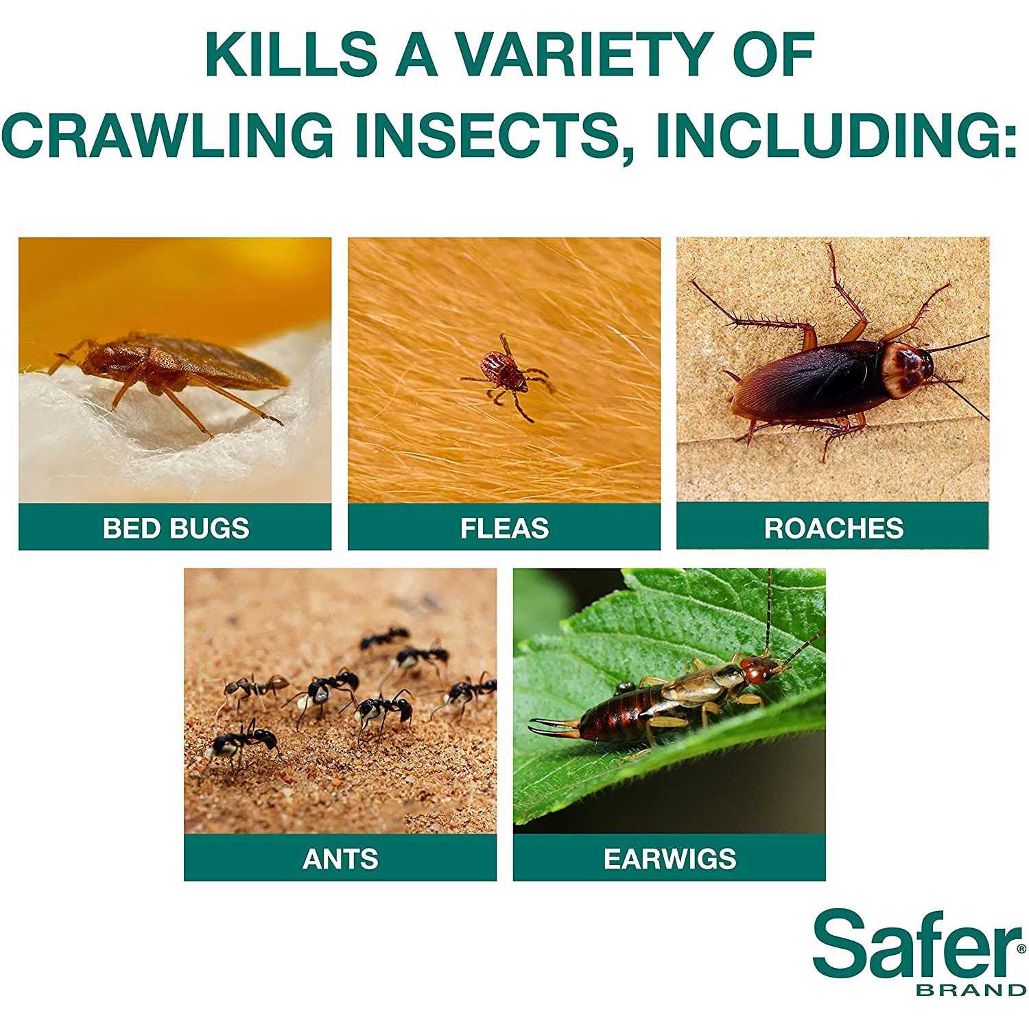 Safer Diatomaceous Earth Insect Killer - Image 5