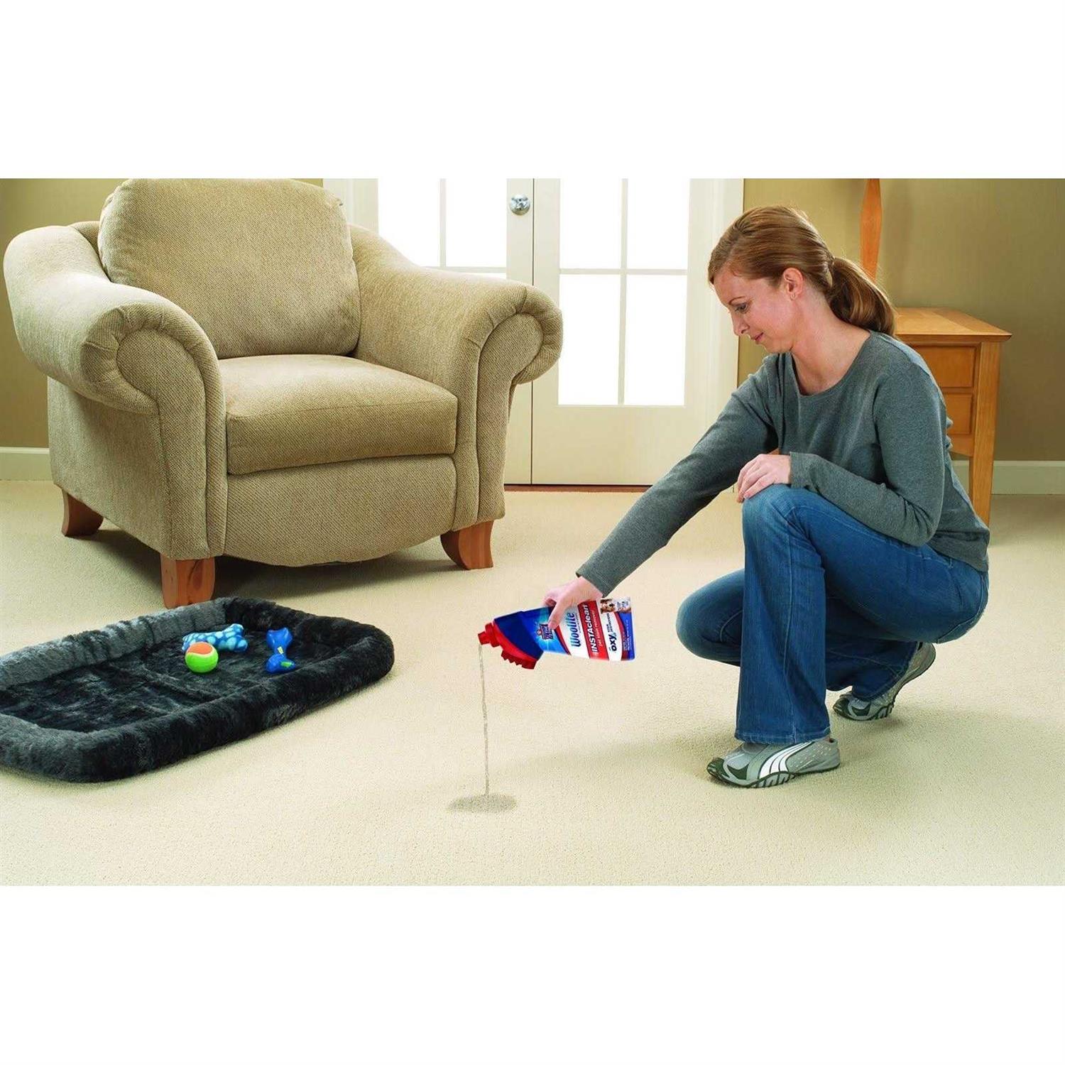 Woolite INSTAclean Pet Stain Remover - Image 3