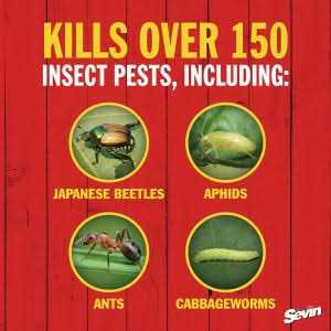 Sevin Insect Killer Dust - Image 5
