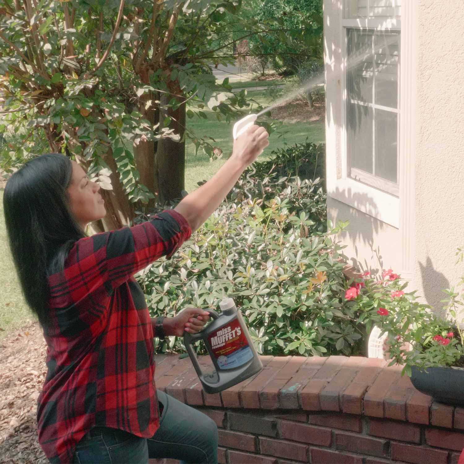 Wet Forget Miss Muffet's Revenge Spider Killer - Image 4