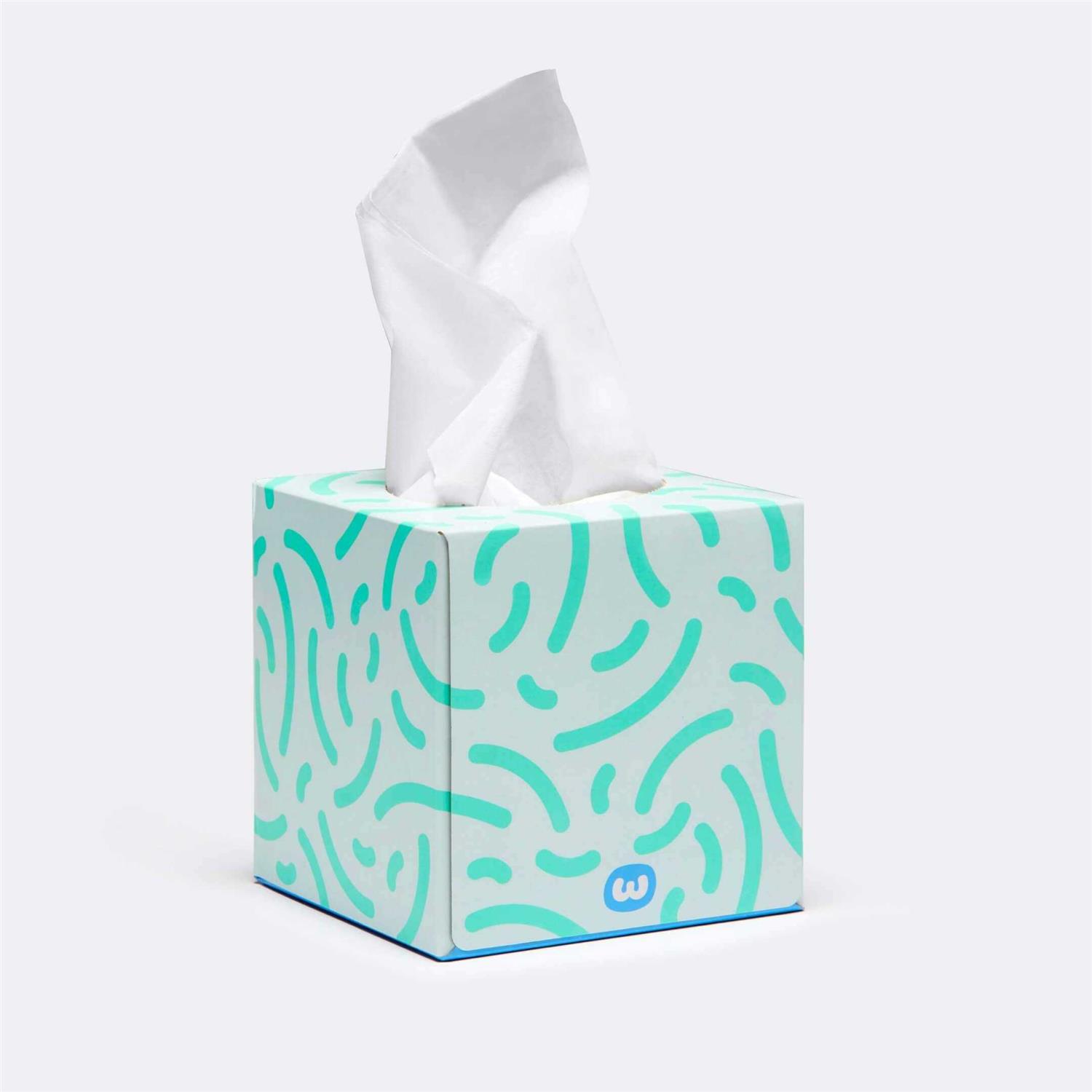 Who Gives A Crap Forest Friendly Tissues 12 Boxes - Image 3