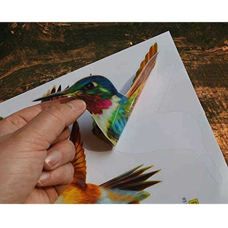 Anti-Collision Window Clings Bird Alert Collision Decals To Prevent Bird Strikes on Window Glass - Image 4