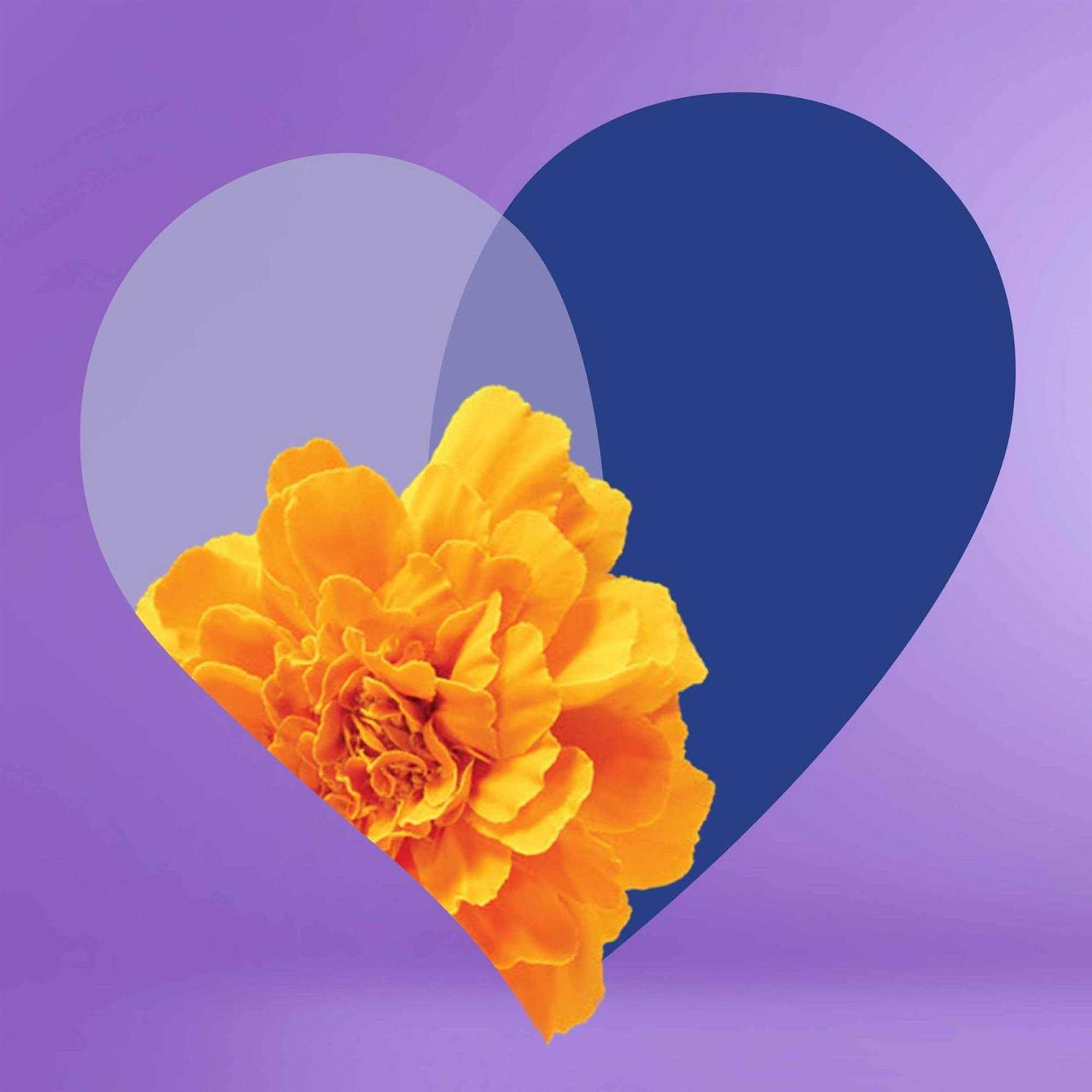 Suavitel Complete Fabric Sheets - Image 3