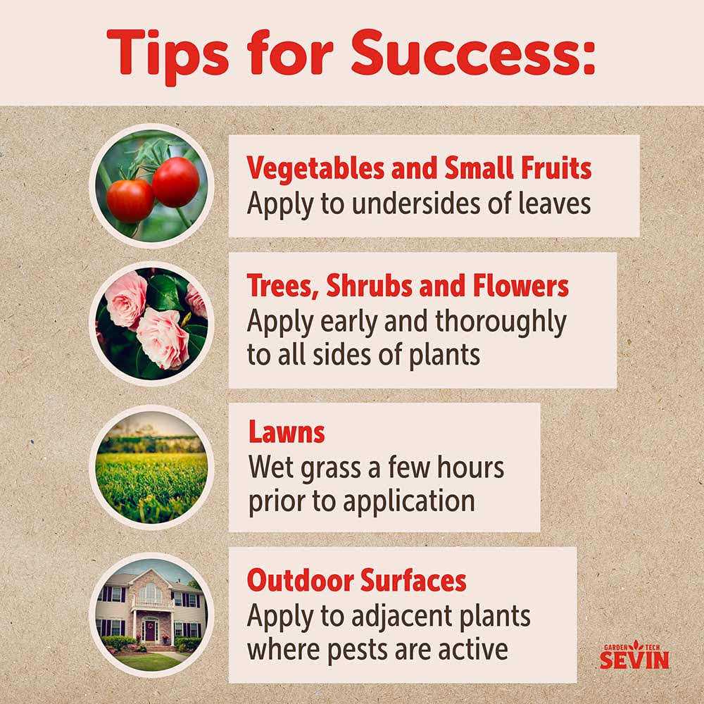 Sevin Ready-To-Use Insect Killer - Image 3