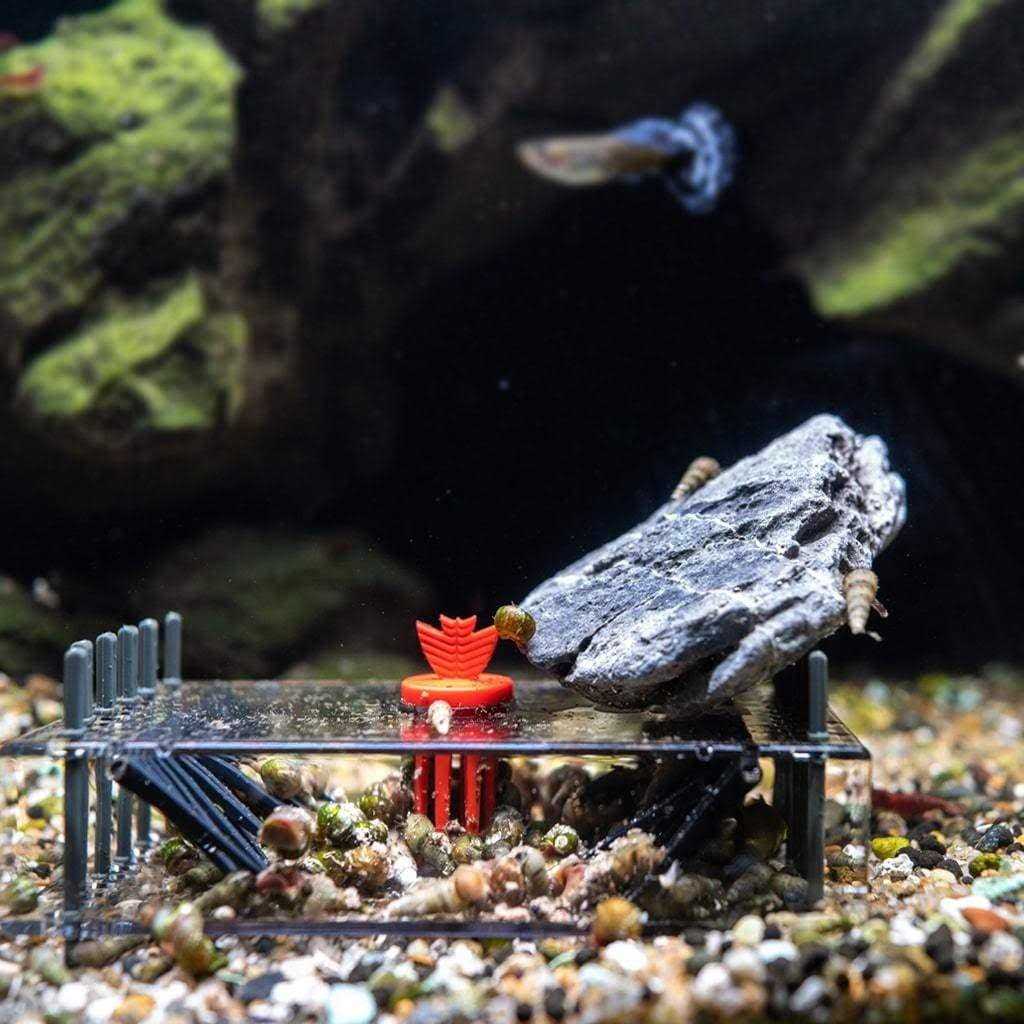 Sera Snail Collect - Image 3