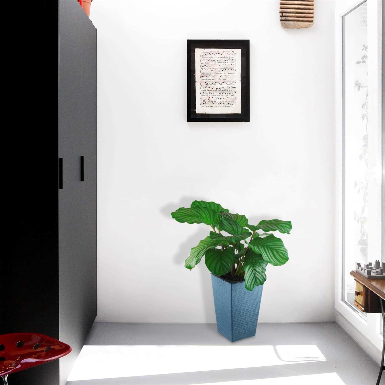 2 Pack Self Watering Planters 10.7 x 6.9 Tall Planter for Indoor Plants Self Watering Violet Pots Plastic Flower Pots Square Planter - Image 5