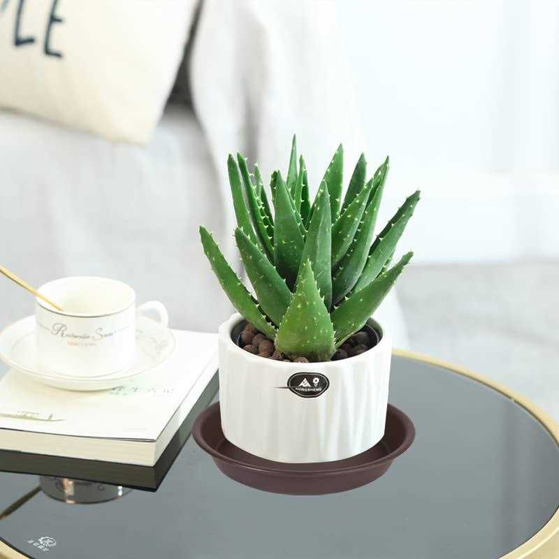 Angde 6 Pack Plant Saucer Plant Round - Image 3